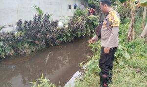 WhatsApp Image 2025-11-13 at 12.03.14