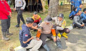 WhatsApp Image 2026-01-29 at 09.10.16