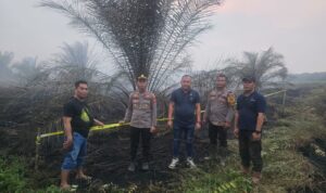 WhatsApp Image 2026-01-29 at 09.50.04