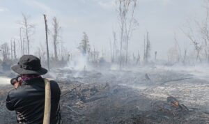 WhatsApp Image 2026-03-26 at 12.01.53